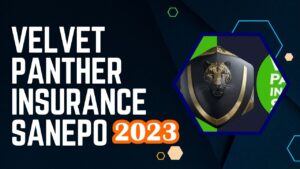 Read more about the article Velvet Panther Insurance Sanepo in 2023