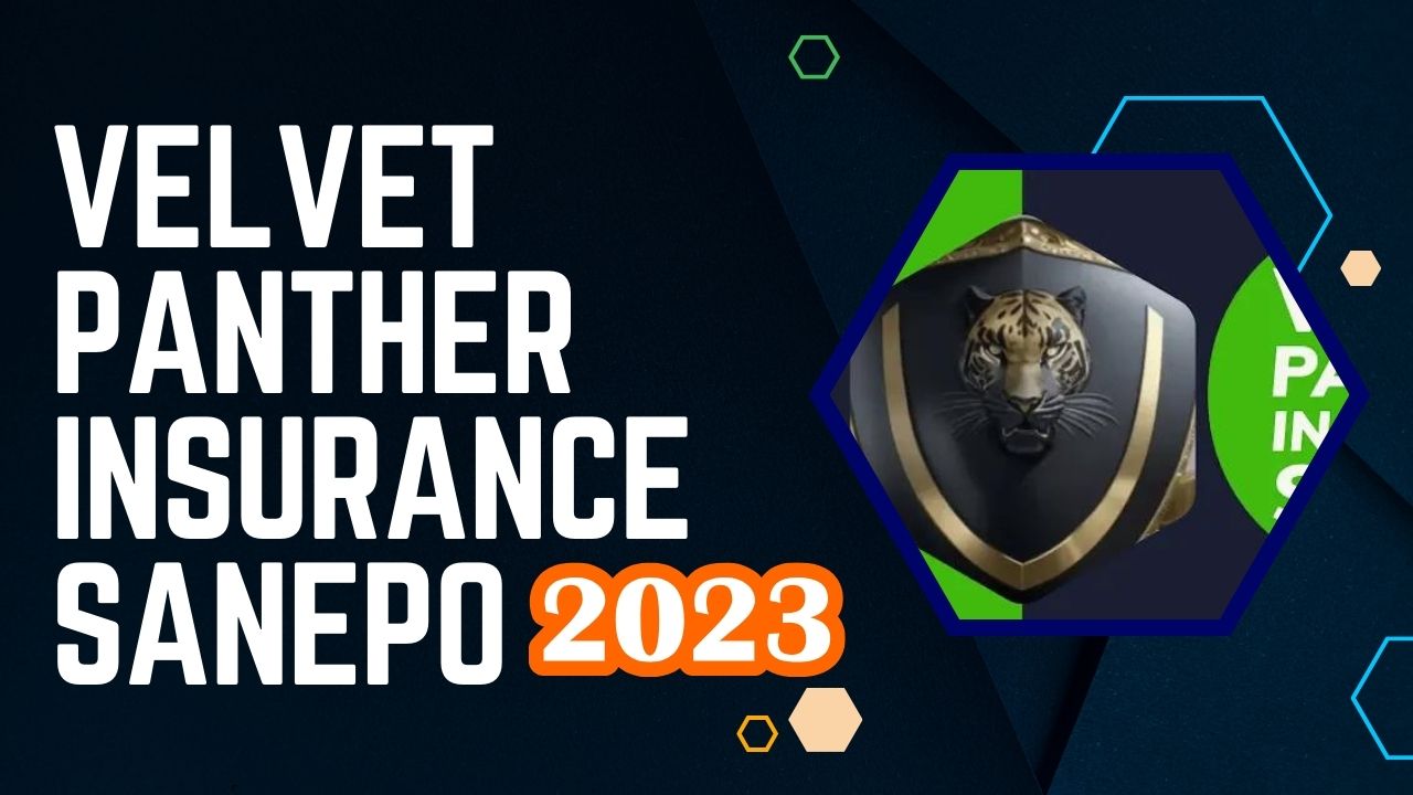 You are currently viewing Velvet Panther Insurance Sanepo in 2023