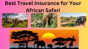 Read more about the article Best Travel Insurance for Your African Safari