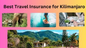 Read more about the article The Ultimate Guide to Choosing the Best Travel Insurance for Kilimanjaro