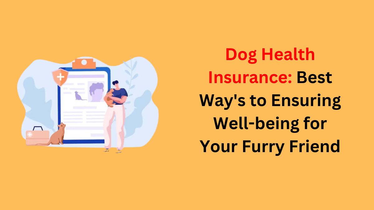 You are currently viewing Dog Health Insurance: Best Way’s to Ensuring Well-being for Your Furry Friend in 2024