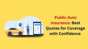 Public Auto Insurance